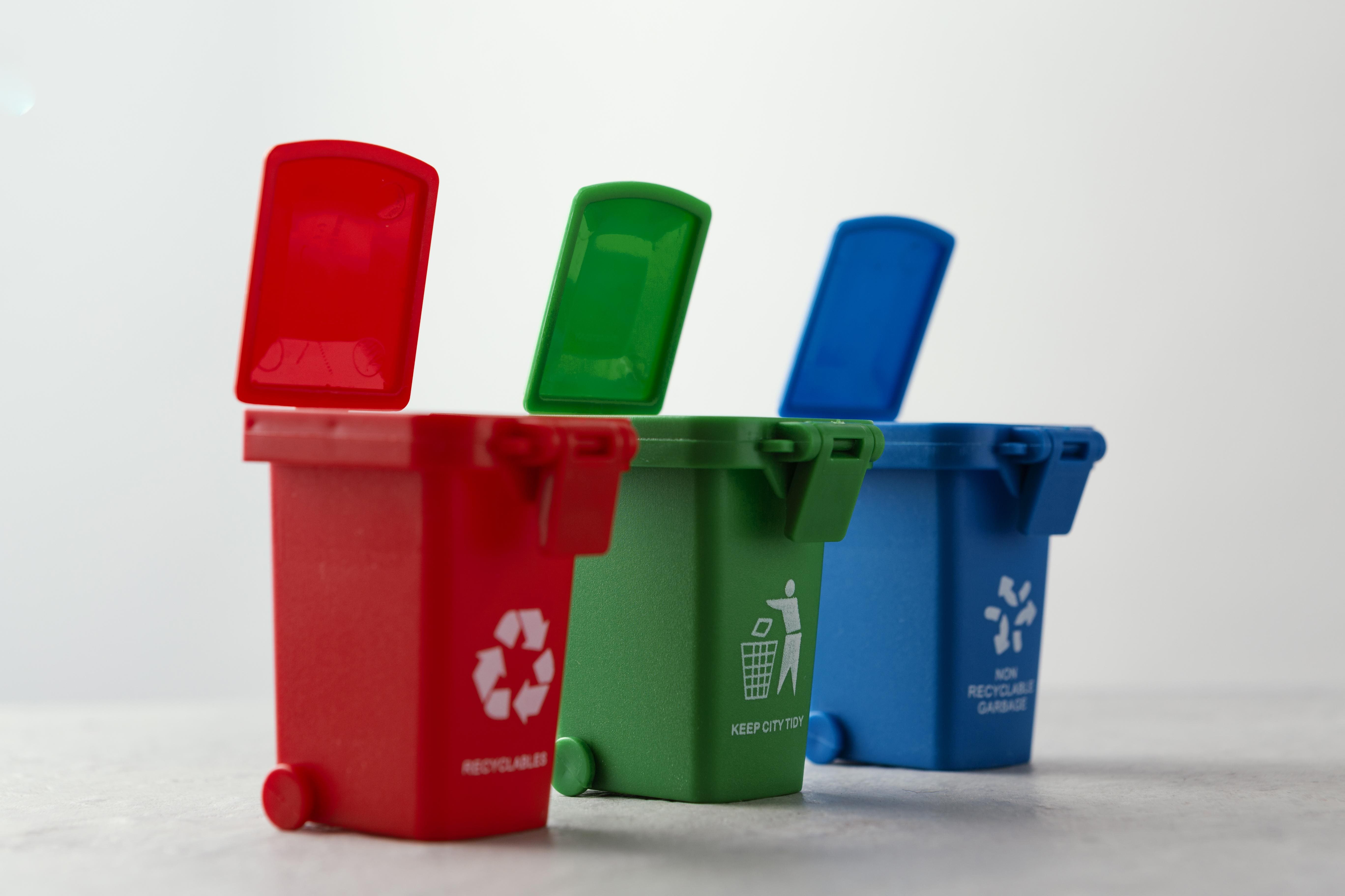 Disposal Bins Deep Cleaning Sanitizing